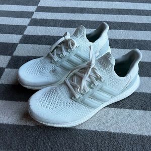 Adidas Ultraboost Parley